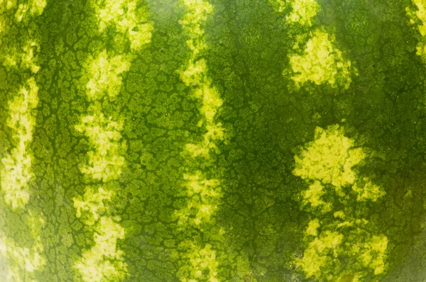ปิดขึ้น ผิวของแตงโม — ภาพถ่ายสต็อก