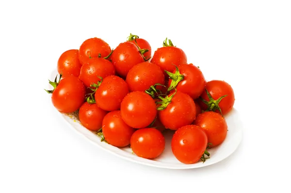 Mokrá celá rajčata uspořádány — Stock fotografie