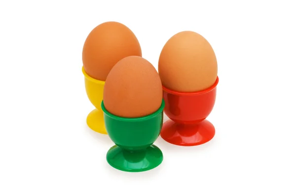 Brązowe jaja w uchwycie na białym tle — Zdjęcie stockowe