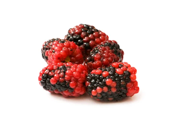 Екстремально крупним планом ягоди ізольовані — стокове фото