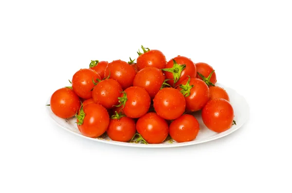 Blöt hela tomater ordnade isolerade — Stockfoto