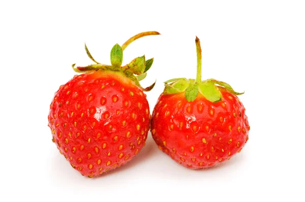 Rode aardbeien geïsoleerd op de witte — Stockfoto