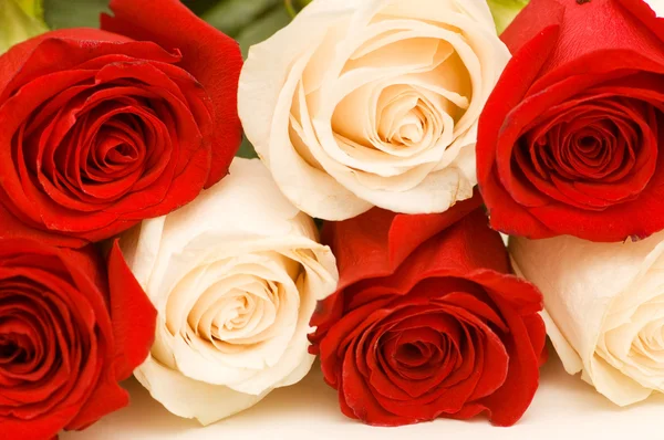 Izole kırmızı ve beyaz güller — Stok fotoğraf