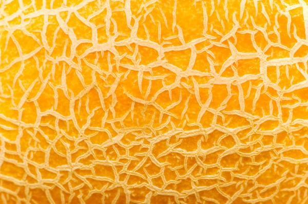 Текстурированный жёлтый арбуз — стоковое фото
