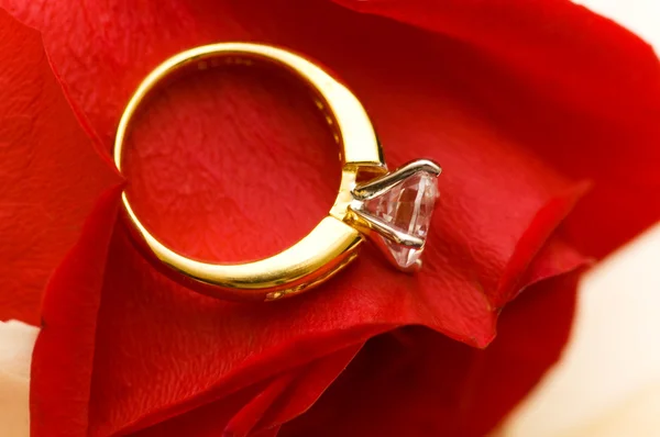 Bague de mariage sur le pétale de rose rouge — Photo