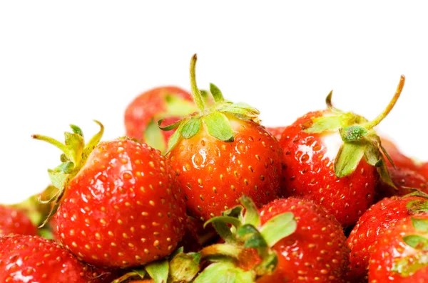 Røde jordbær isoleret på den hvide - Stock-foto