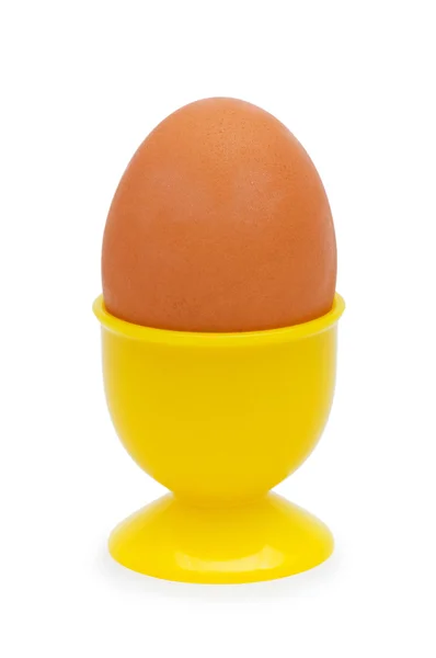 Huevo marrón en soporte aislado — Foto de Stock