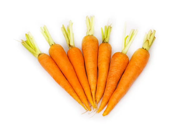 Muchas zanahorias aisladas en el blanco —  Fotos de Stock