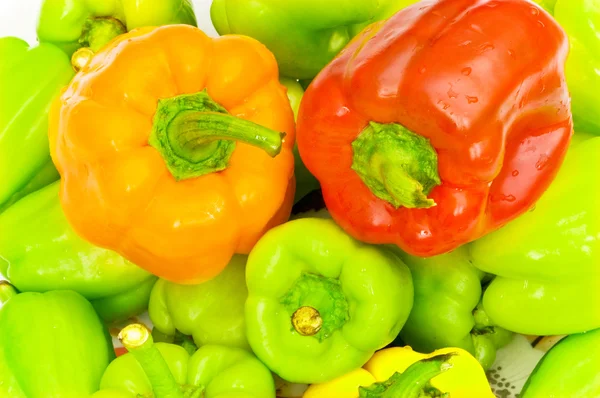 Kleurrijke paprika gerangschikt — Stockfoto