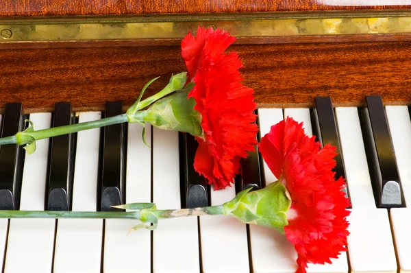 Romantické pojetí - karafiát na klavír — Stock fotografie