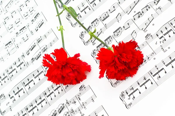 Κόκκινο λουλούδι γαρίφαλων σε μουσικές νότες — Φωτογραφία Αρχείου