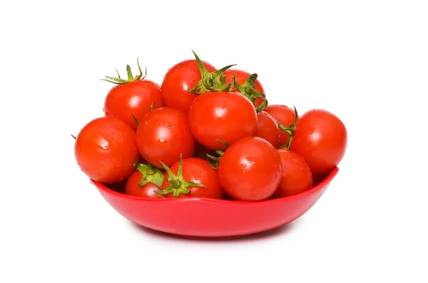 Blöt hela tomater ordnade — Stockfoto