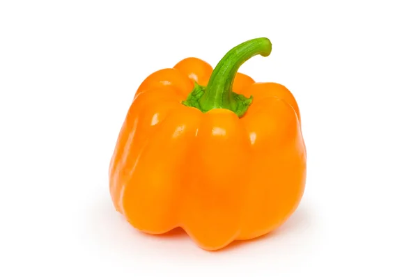 Oranžová paprika, samostatný — Stock fotografie