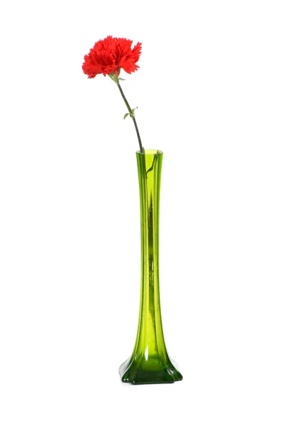 Stock image Red carnation in green vase isolated