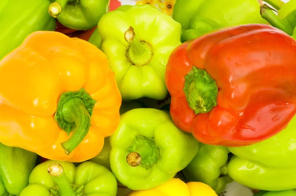 Renkli biberkleurrijke paprika — Stok fotoğraf
