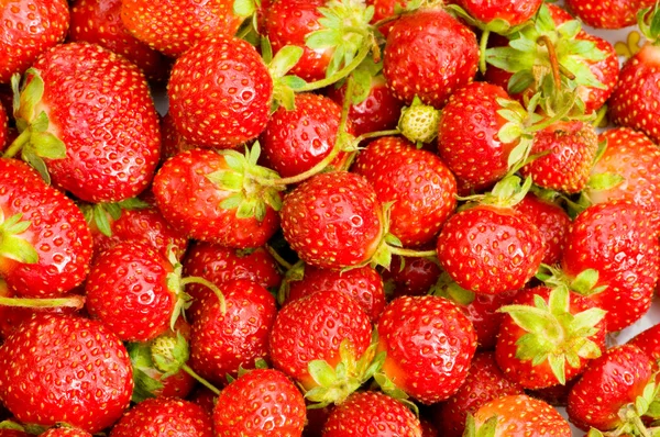 Concetto di frutta - fragole rosse — Foto Stock