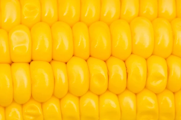 Extrémní zblízka žluté kukuřičné klásky — Stock fotografie