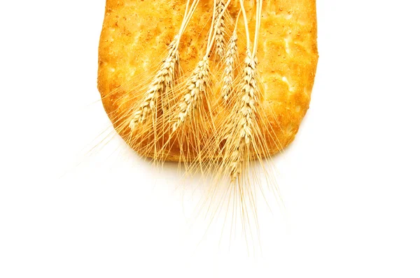 Brood en tarwe oren geïsoleerd — Stockfoto