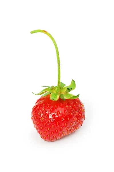 Röd jordgubbe isolerat på vita — Stockfoto