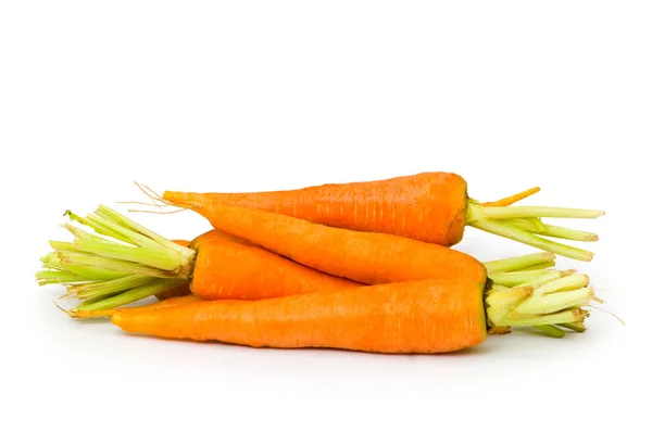Φρέσκα καρότα απομονωμένη στο λευκό — Φωτογραφία Αρχείου