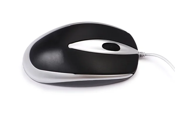 Computer mouse isolated — Stock Photo, Image
