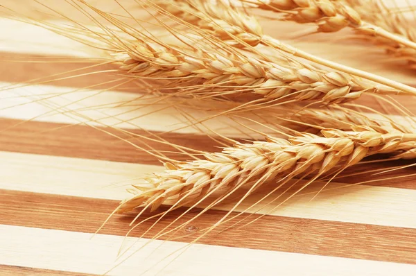 Orejas de trigo —  Fotos de Stock