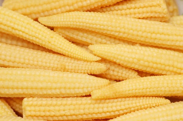 Baby corn cobs — Stock Photo, Image