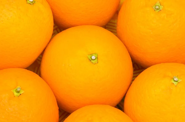 Primer plano de muchas naranjas — Foto de Stock