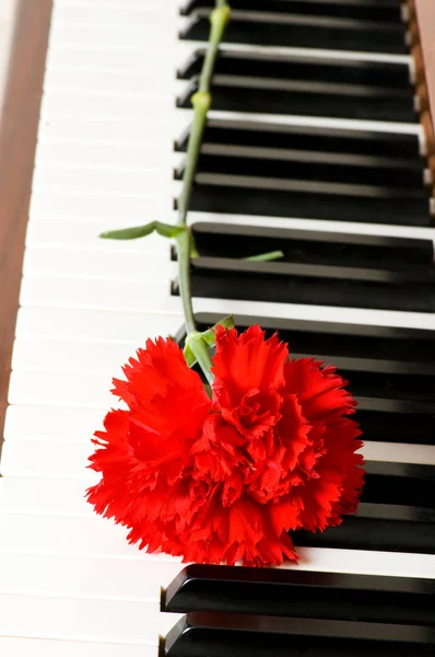 Romantiska koncept - nejlika på piano — Stockfoto