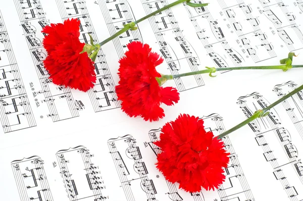Rode carnation bloem op muzieknoten — Stockfoto
