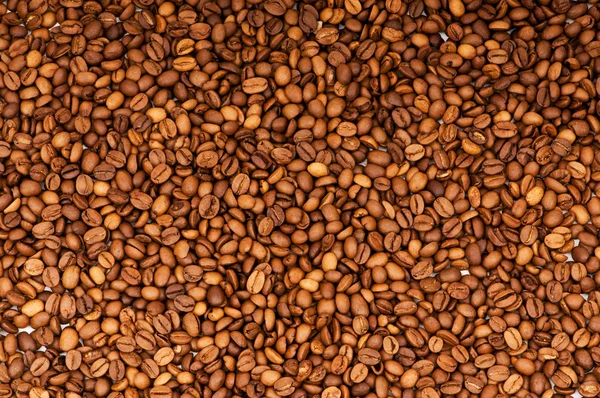 Close up van vers gebrande koffie — Stockfoto