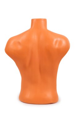 Mannequin of male body isolated