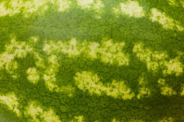 Nær opptil huden på vannmelonen – stockfoto