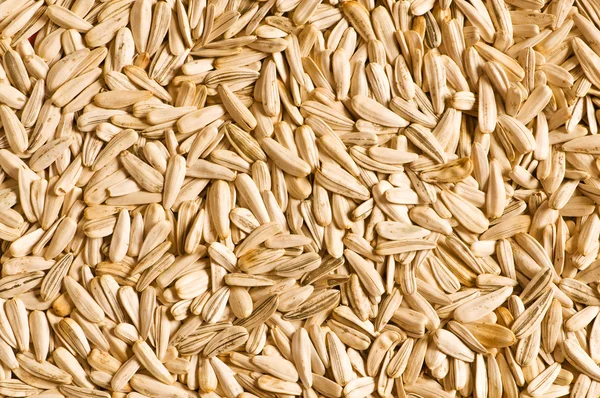 Lots of sunflower seeds — Stock Photo, Image