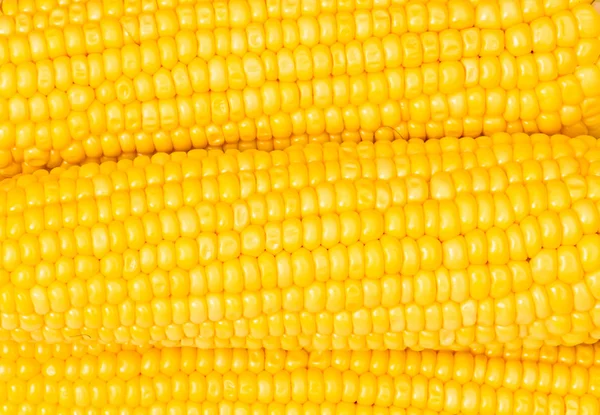 Extrême gros plan des épis de maïs jaune — Photo