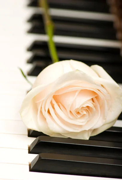 Romantische concept - steeg op piano — Stockfoto
