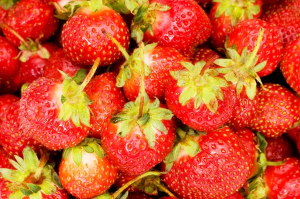 Veel van aardbeien gerangschikt — Stockfoto