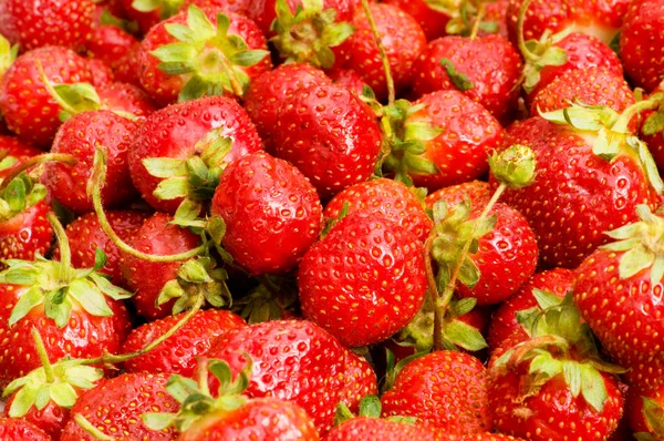 Massor av jordgubbar ordnade — Stockfoto