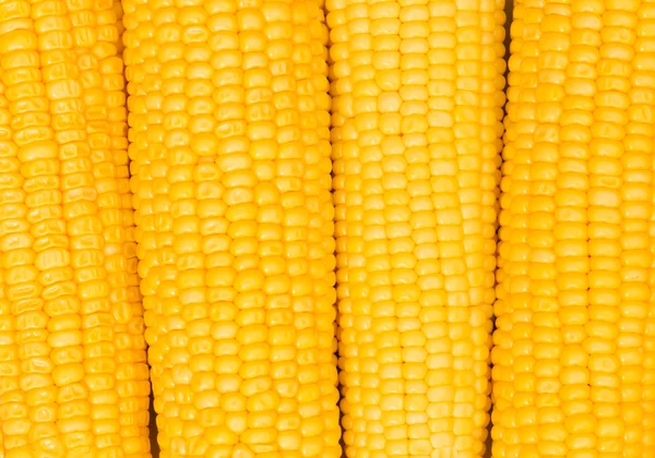 Extreme close up of yellow corn cobs — Stock Photo, Image