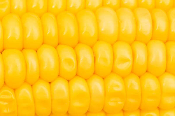 Extremo acercamiento de mazorcas de maíz amarillas —  Fotos de Stock