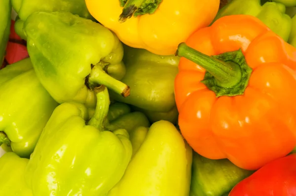 Bell peppers arranged Stock Image