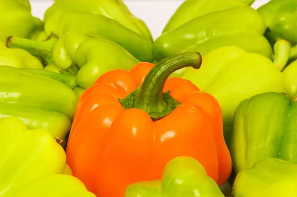 Bell peppers arranged Royalty Free Stock Images