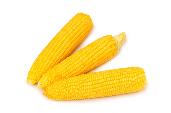 Espigas de milho isoladas no branco — Fotografia de Stock