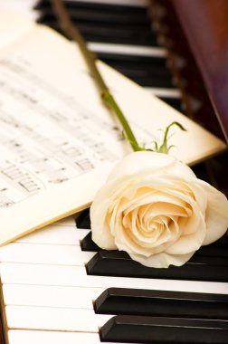 Romantic concept - white rose on piano clipart