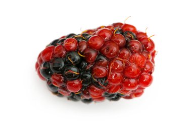 aşırı berry izole kapatmak