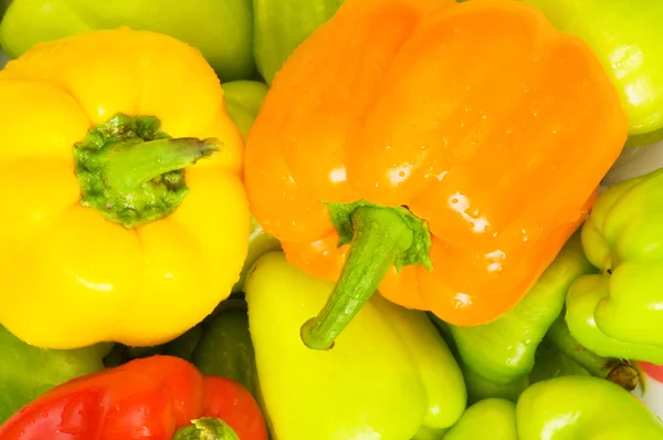Colourful bell peppers arranged — Stock Photo, Image