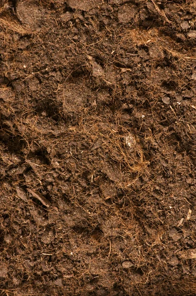 土壌のクローズ アップ — ストック写真