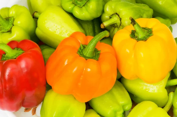Colourful bell peppers arranged — Stock Photo, Image