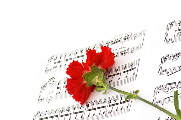 Clavel rojo en la página de notas musicales — Foto de Stock