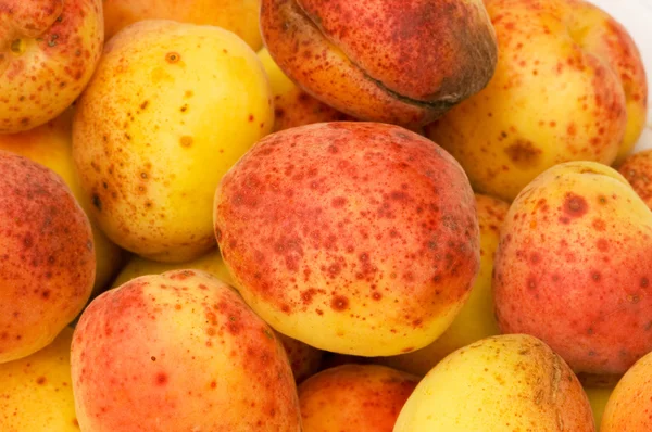 Many colourful red apricots — Stock Photo, Image